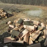 Tips for purchasing quality firewood Green wood.