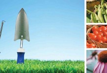 Gardening resolutions for the new year garden tools, green beans, cherry tomatoes and purple coneflowers