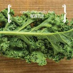 How to eat seasonally this winter kale - winter seasonal eating
