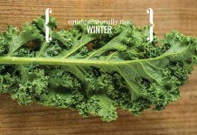 How to eat seasonally this winter kale - winter seasonal eating