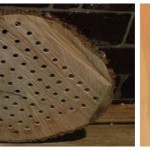 native bee box and bees