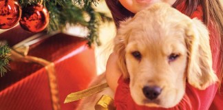 puppy and Christmas tree