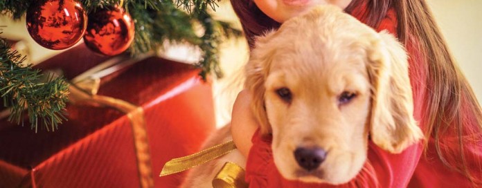 puppy and Christmas tree