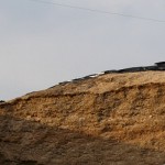 silage in bunker silo