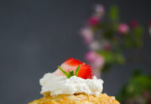 Strawberry Shortcake Strawberry Shortcake