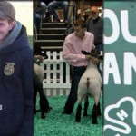 top 10 web stories of 2015 collage