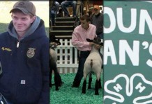 Farm and Dairy’s top 10 online stories of 2015 top 10 web stories of 2015 collage