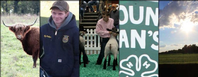 top 10 web stories of 2015 collage