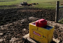 A proactive approach to pasture management frost free water tank