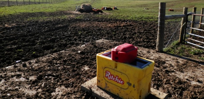 Water tank frost free water tank