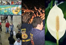 5 stories farmers read this week: Jan. 30, 2016 5 stories collage: Jan. 30, 2016