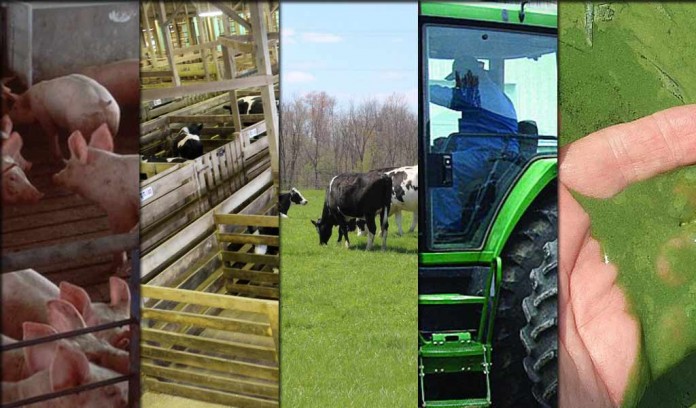 5 stories farmers read this week collage Jan. 9 5 stories farmers read this week collage Jan. 9