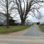 Amish farmer and author shares story of the simple life Kline dairy