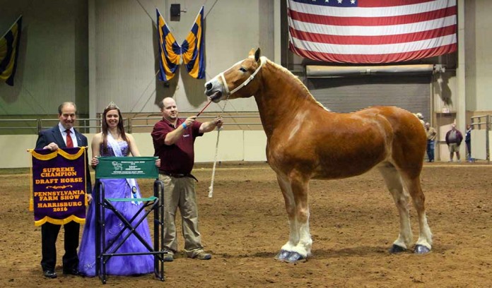 Mark Ryburn with Houston's Belle