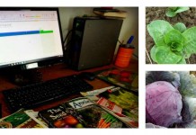 3 ways to plan your garden: paper, virtual or template garden planning and crops collage
