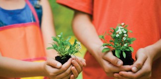 6 ideas for gardening with kids kids holding flowers