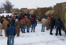 Understanding the hay market Kidron Hay Sale