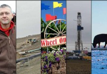 5 stories farmers read this week: Feb. 13, 2016 5 stories collage Feb. 13, 2016