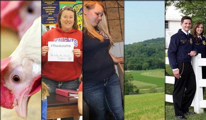 5 stories collage for Feb. 27, 2016