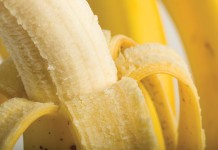 Dayton-based frozen banana ice cream expanding to other parts of Ohio bananas