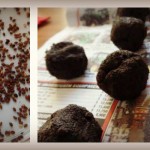 Fun projects for spring planting seed bombs