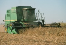 Sunrise and Trupointe Co-ops propose merger Combining soybeans