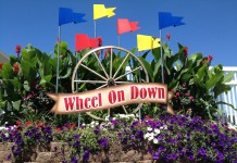 Columbiana County Fair loses naming donation for grandstand Columbiana fair