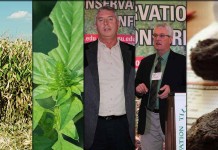 5 stories farmers read this week: March 12, 2016 5 stories collage for March 12, 2016