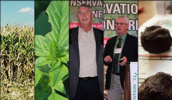 5 stories collage for March 12, 2016 5 stories collage for March 12, 2016