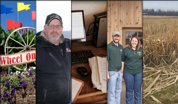 5 stories collage March 19, 2016 5 stories collage March 19, 2016