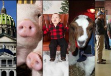 5 stories farmers read this week: March 5, 2016 5 stories collage: March 5, 2016