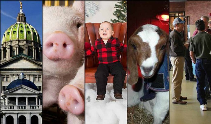 5 stories collage: March 5, 2016