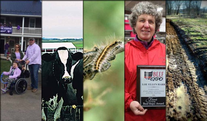 5 stories collage - March 26, 2016 5 stories collage - March 26, 2016