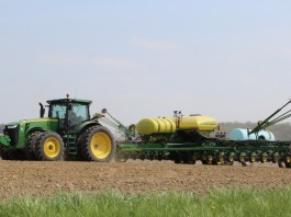 Corn planting