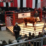 Expo Hereford