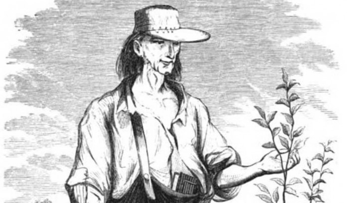 Johnny Appleseed drawing