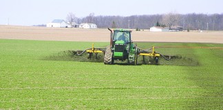 Liquid Manure topdressing wheat