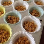 cupcake liners with graham crackers