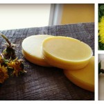 Spring weeds: Dandelion tea, salad and lotion bars dandelion collage