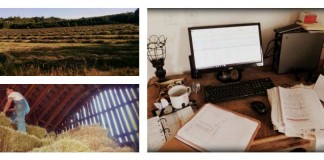 How to write a farm business plan farm business collage