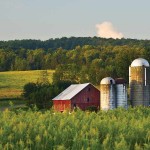 5 tips to protect your farmland farm scene