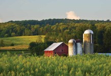 5 tips to protect your farmland farm scene