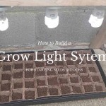 How to build a grow light system for starting seeds indoors grow light system for starting seeds indoors