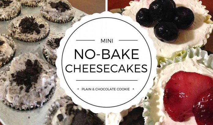 mini no-bake cheesecakes