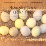 How to make naturally dyed Easter eggs naturally dyed Easter eggs