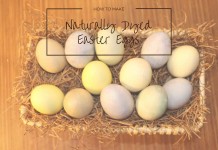 How to make naturally dyed Easter eggs naturally dyed Easter eggs