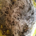 no-bake Oreo cheesecake batter