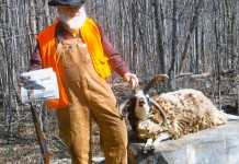 Vacation with us: John Dewell