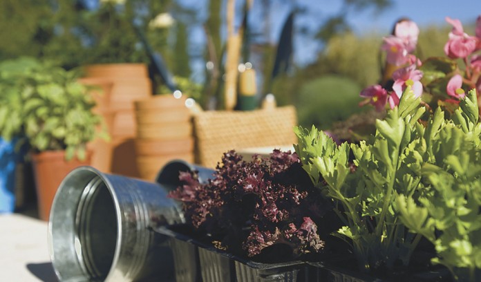 fairy gardens Fairy gardens are a fun way to introduce children to gardening. Once families get started, they may want to create entire fairy villages.