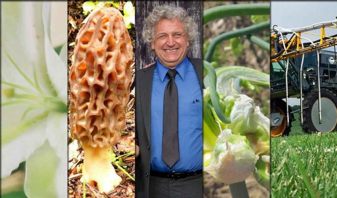 5 stories collage April 2, 2016 5 stories collage April 2, 2016